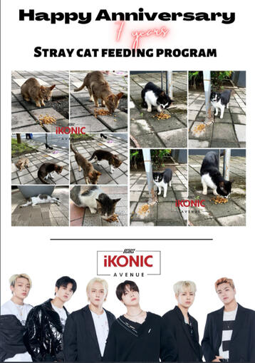 Stray Cat Feeding Program